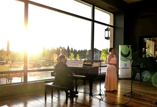 Odoo • Imagen y texto